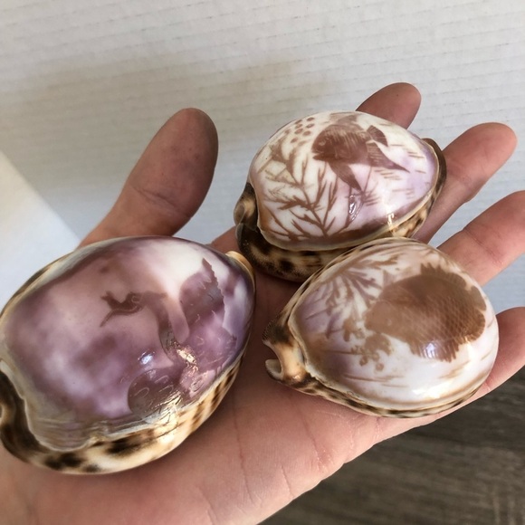 Vtg Hand Carved Cowrie Seashells with Intricate Designs - Picture 11 of 12